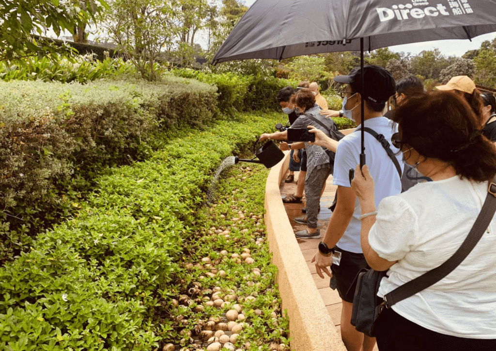Scene of inland ash scattering at a peaceful garden, supported by funeral planning services Singapore, with loved ones paying respects.